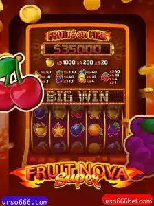 Descobrindo o Mundo de FruitNovaSuper